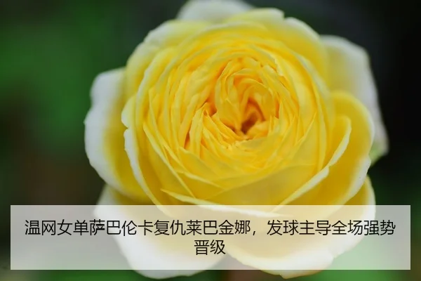wen-wang-nv-dan-sa-ba-lun-ka-fu-chou-lai-ba-jin-na-fa-qiu-zhu-dao-quan-chang-qiang-shi-jin-ji-3-281.jpg