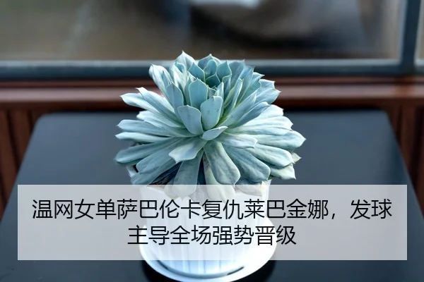 温网女单萨巴伦卡复仇莱巴金娜，发球主导全场强势晋级