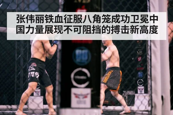 MMA cage fight action